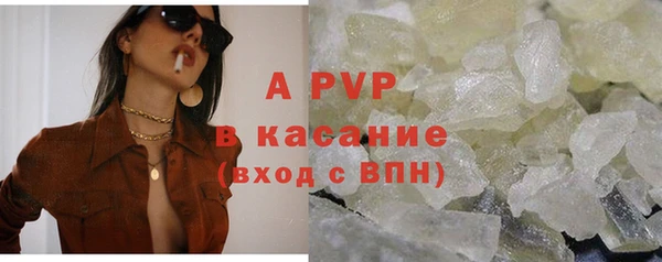 шишки Осташков