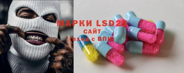 шишки Осташков