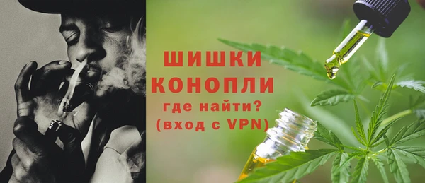 шишки Осташков