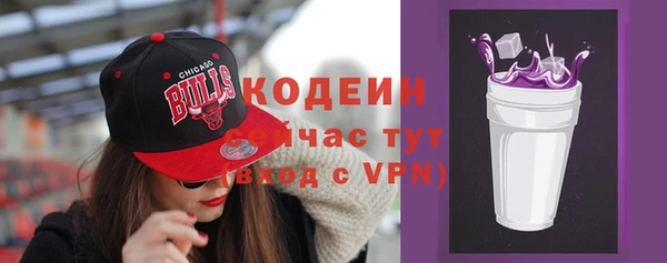 шишки Осташков