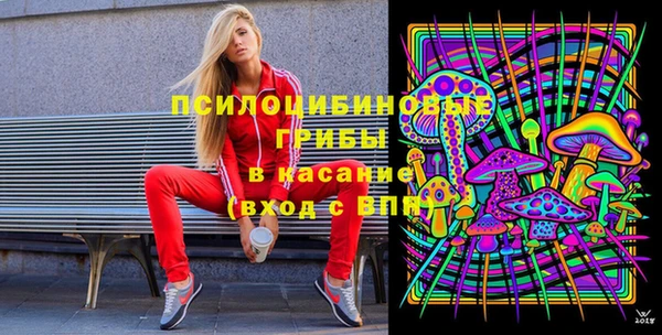 мдпв Анива