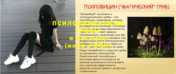 PSILOCYBIN Абаза