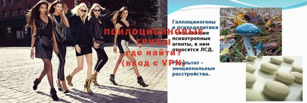 PSILOCYBIN Абаза