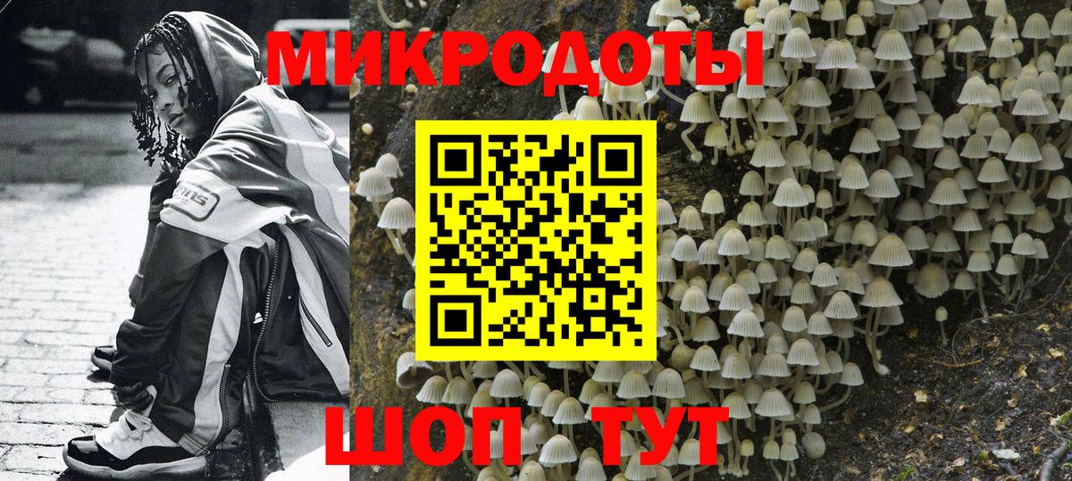 Галлюциногенные грибы Cubensis Владикавказ
